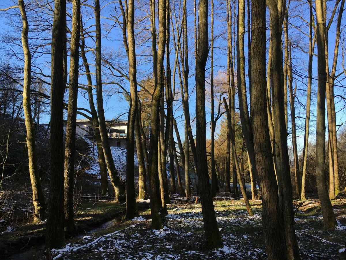 Haagalm Terrasse, Garten Nonnweiler Esterno foto