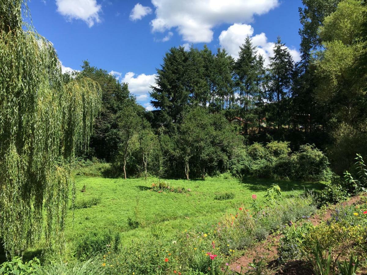 Haagalm Terrasse, Garten Nonnweiler Esterno foto