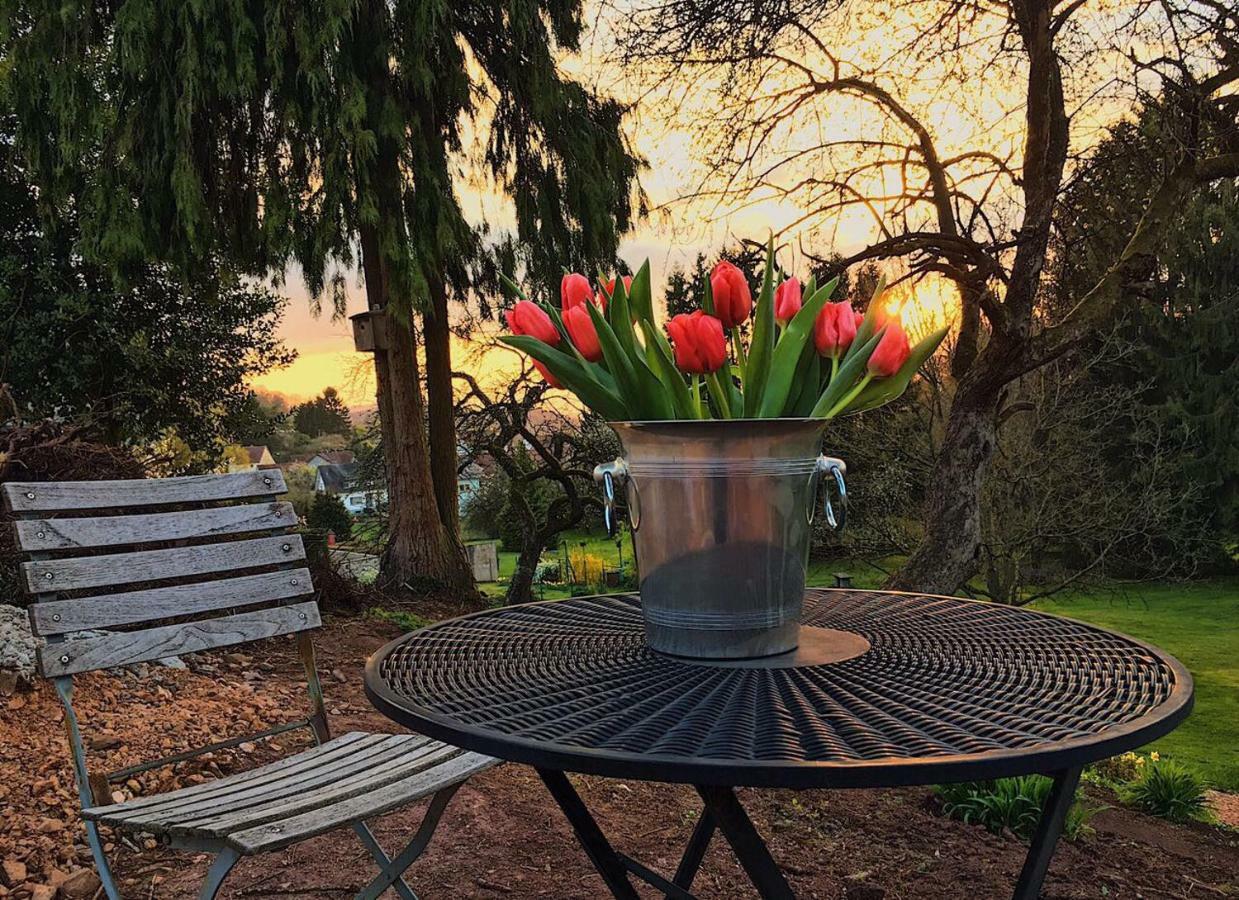 Haagalm Terrasse, Garten Nonnweiler Esterno foto
