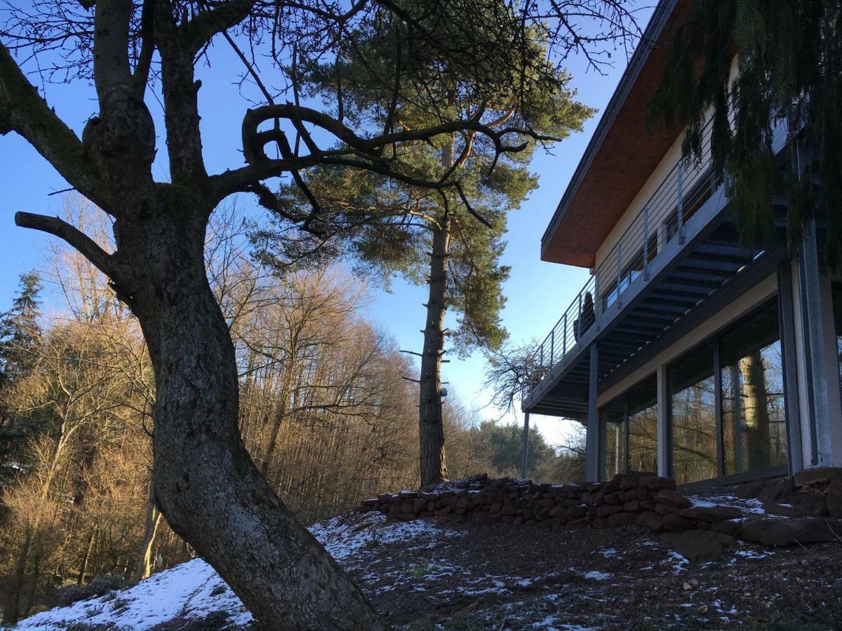 Haagalm Terrasse, Garten Nonnweiler Esterno foto