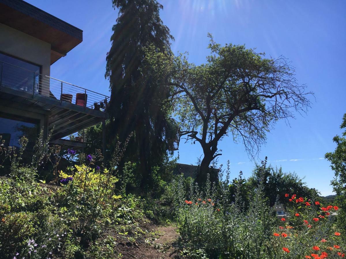 Haagalm Terrasse, Garten Nonnweiler Esterno foto