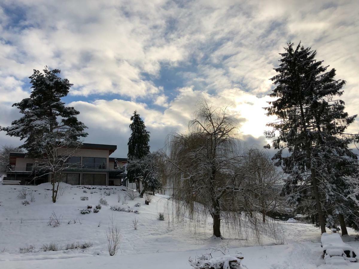 Haagalm Terrasse, Garten Nonnweiler Esterno foto
